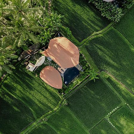Arapan Ubud Eco Villa Eksteriør bilde