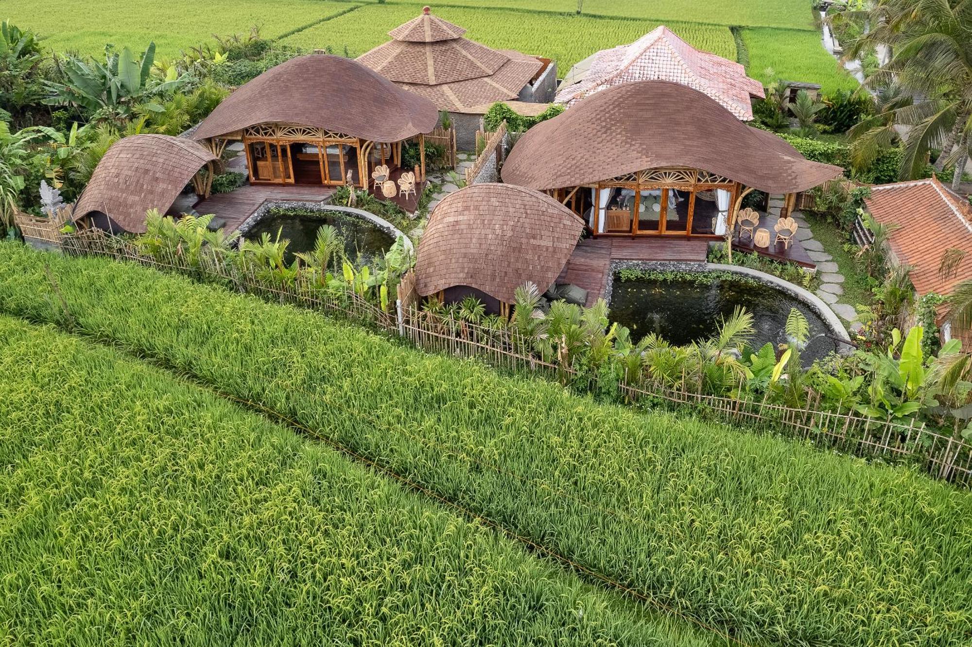 Arapan Ubud Eco Villa Eksteriør bilde