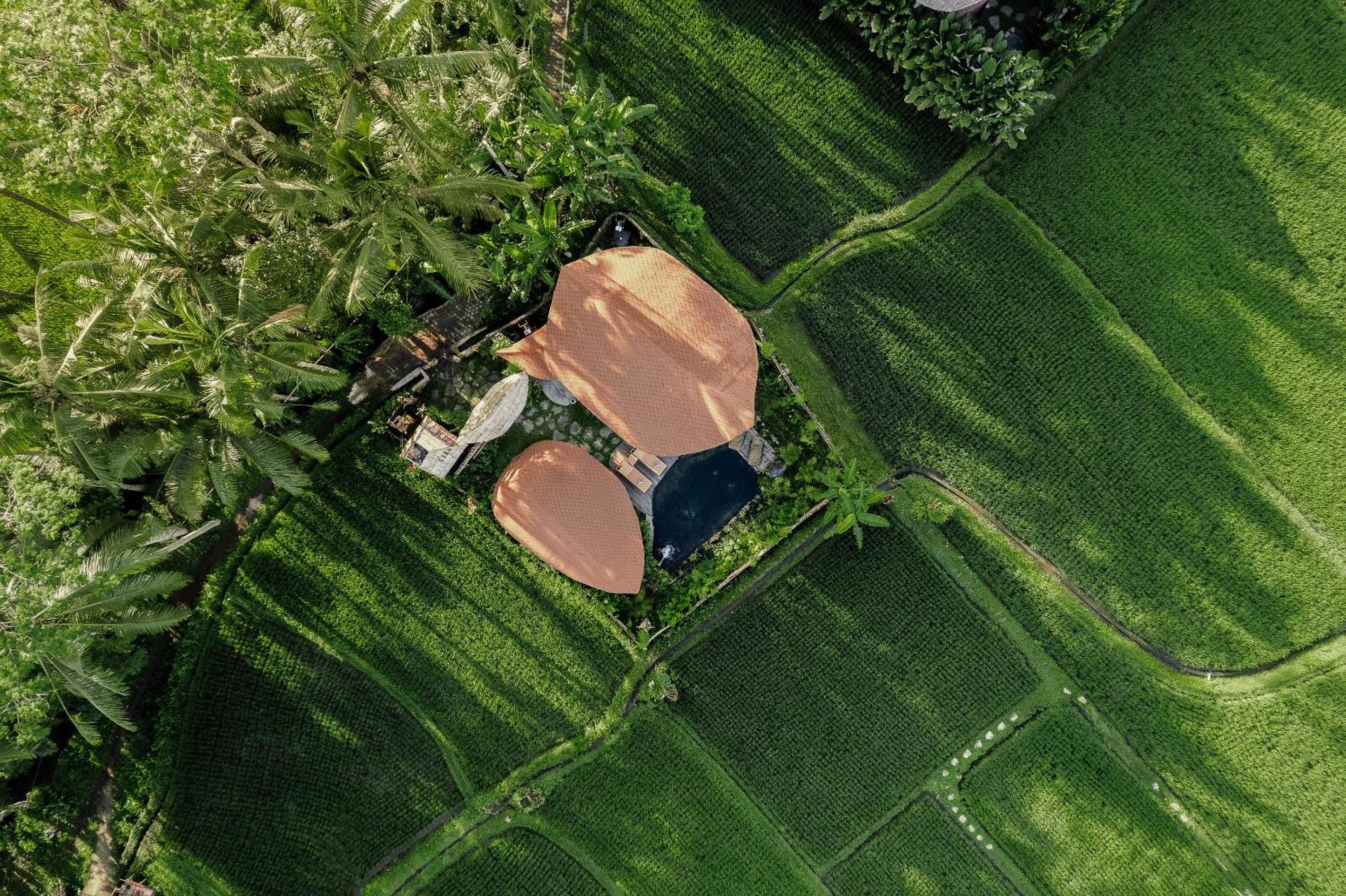 Arapan Ubud Eco Villa Eksteriør bilde